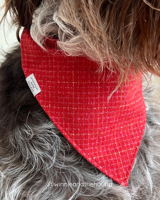 Heartthrob Dog Bandana