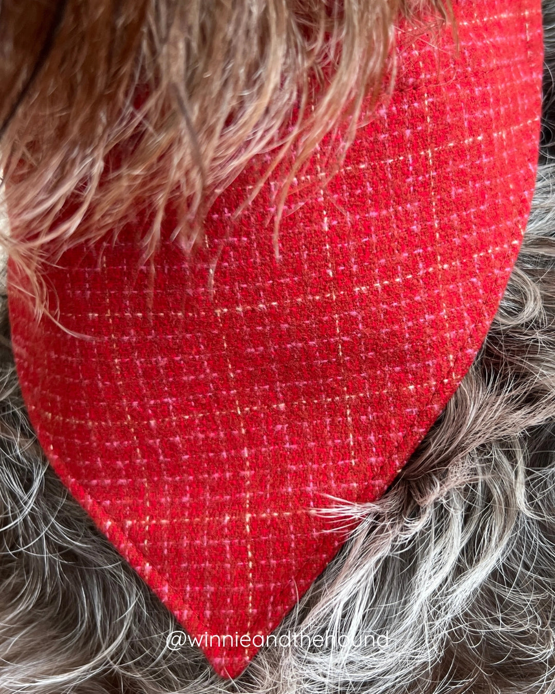 Heartthrob Dog Bandana