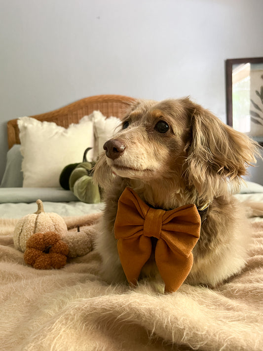 Camel Faux Suede Lady Bow