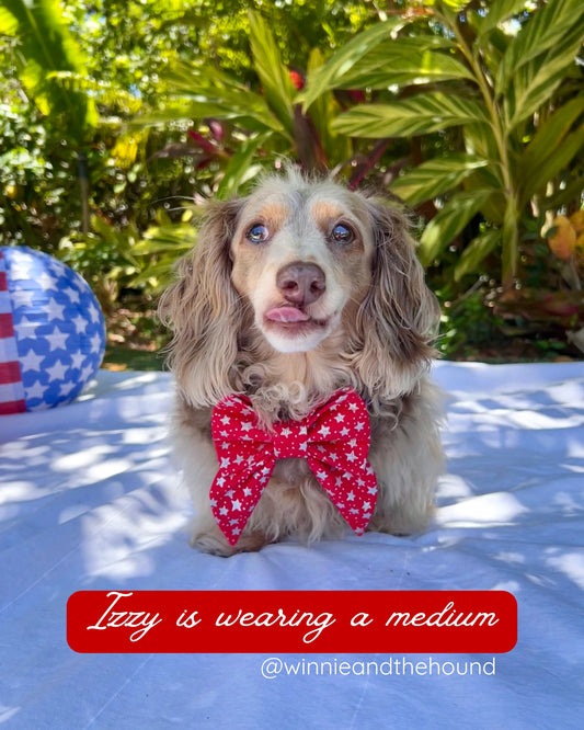 Liberty Stars Lady Bow