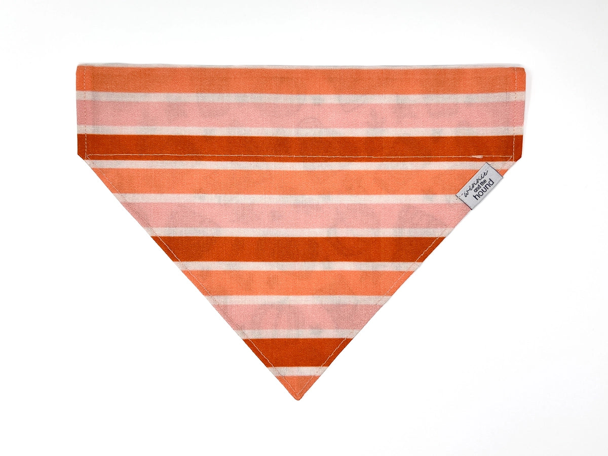 Fall Essentials Dog Bandana