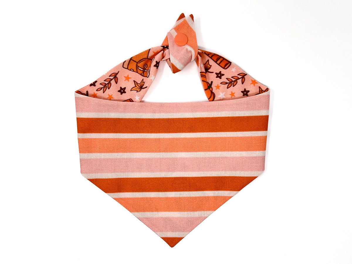 Fall Essentials Dog Bandana
