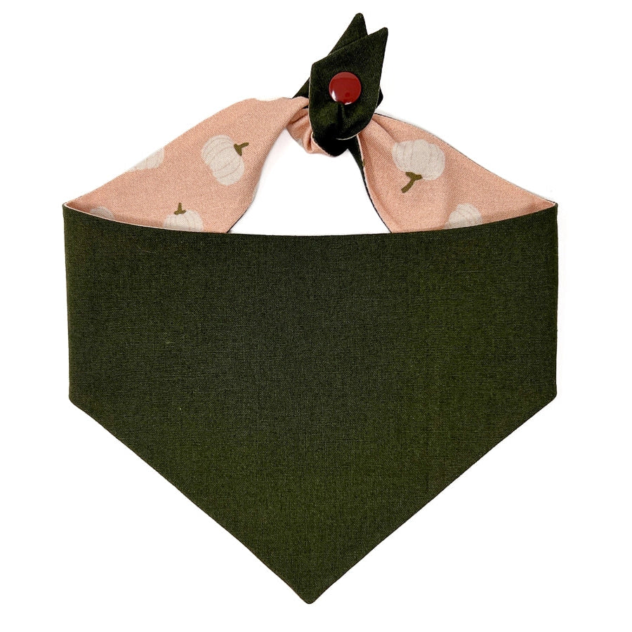 Hello Pumpkin Dog Bandana