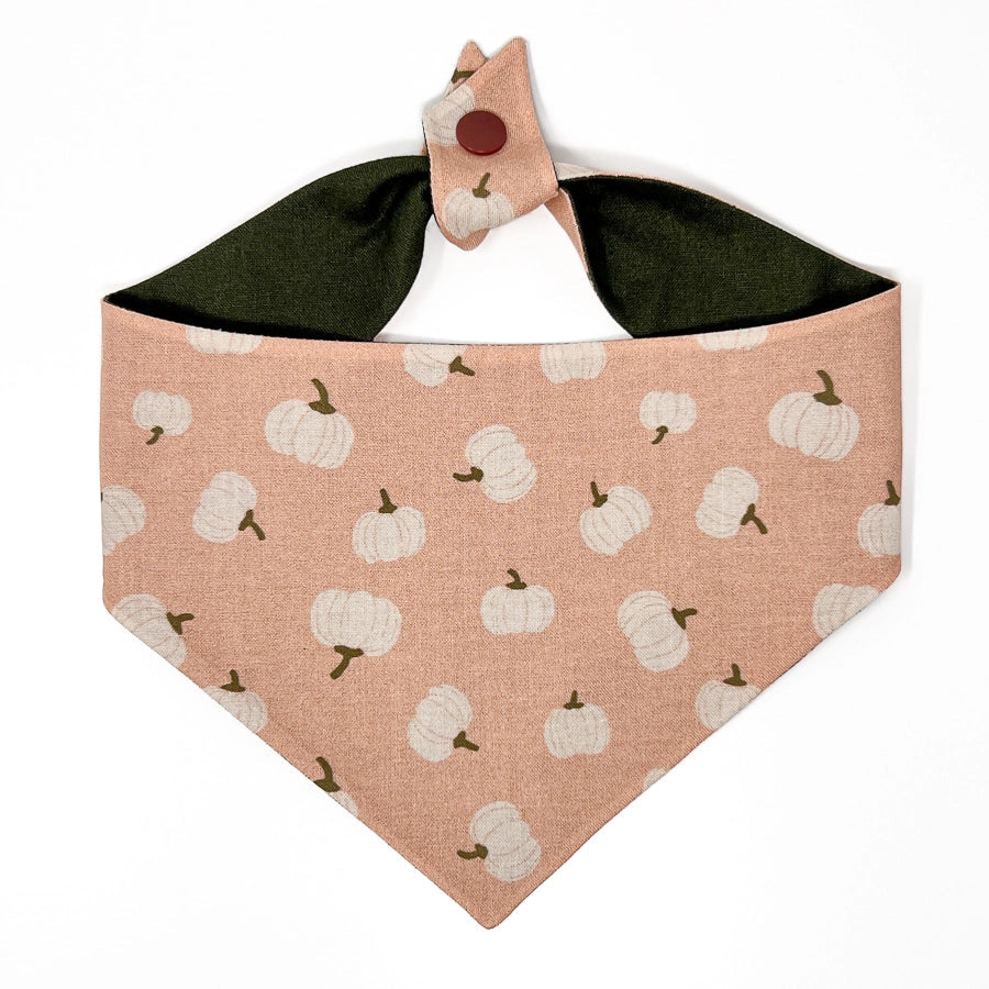 Hello Pumpkin Dog Bandana