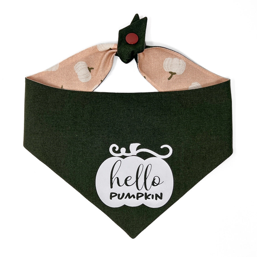 Hello Pumpkin Dog Bandana
