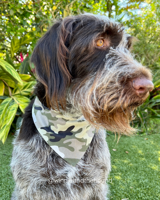 Camo Dog Bandana
