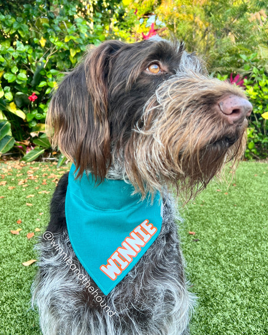 Colorful Crab Dog Bandana
