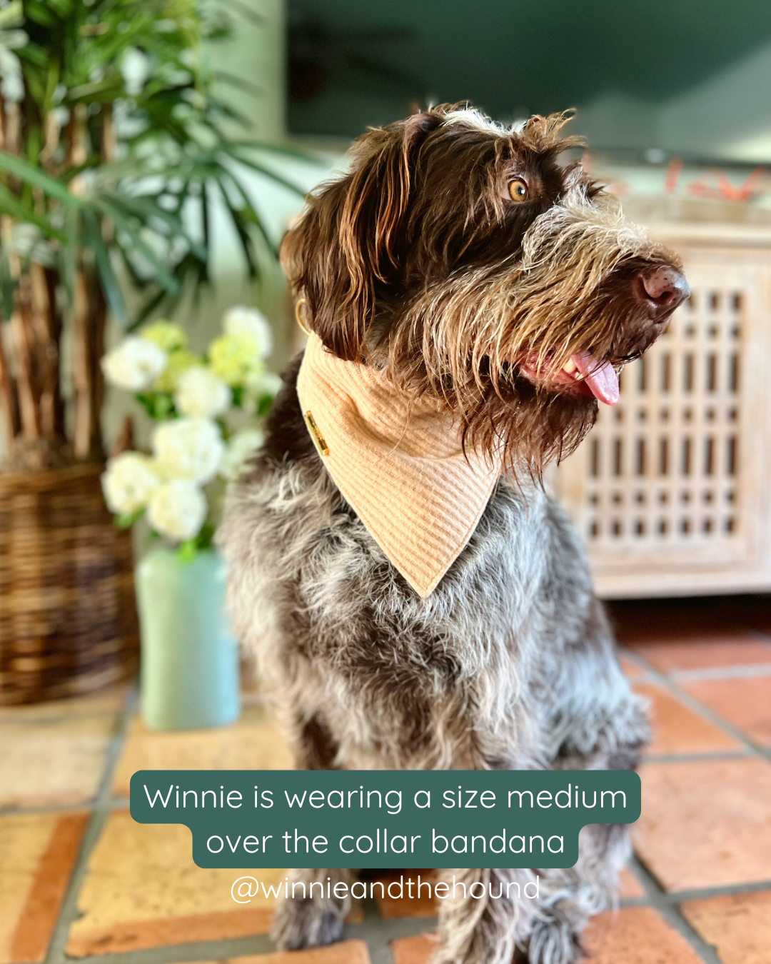 Cozy Beige Sweater Knit Dog Bandana
