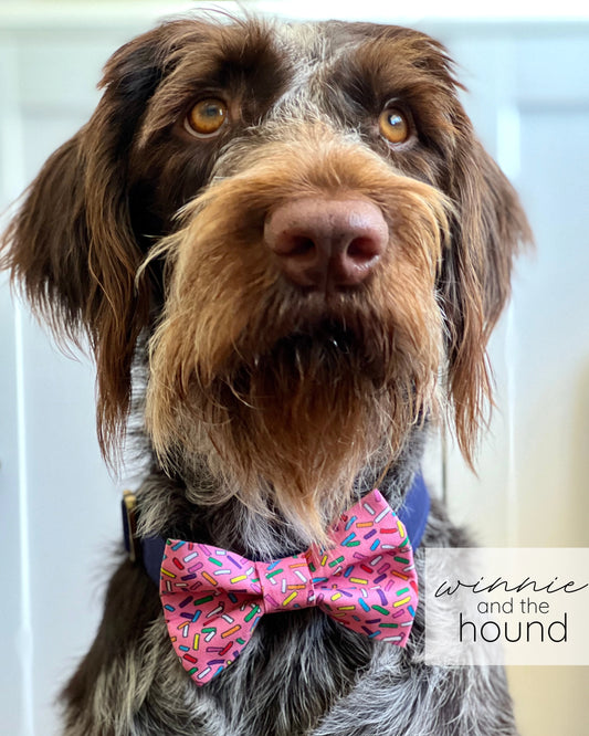 Dark Pink Birthday Sprinkles Dog Bow Tie