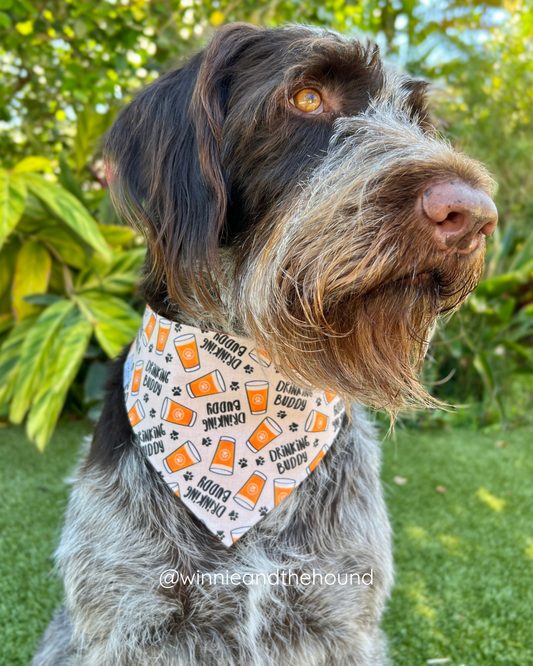 Drinking Buddy Dog Bandana
