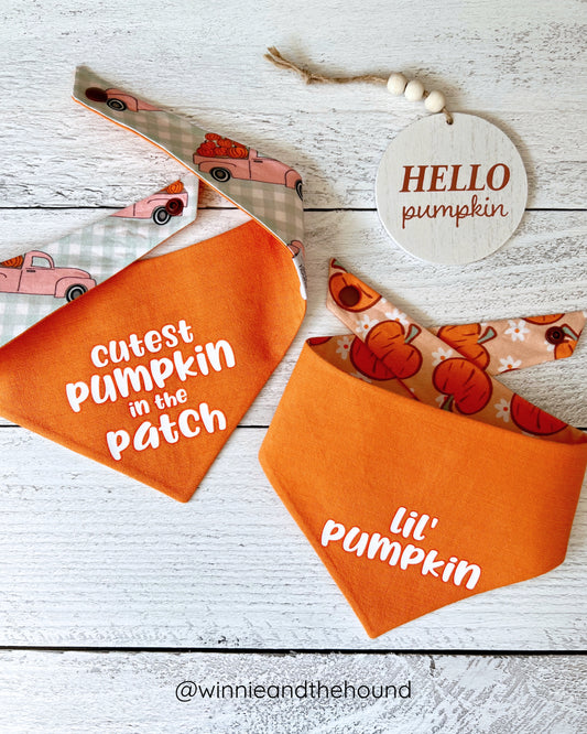 Cutest Pumpkin Dog Bandana