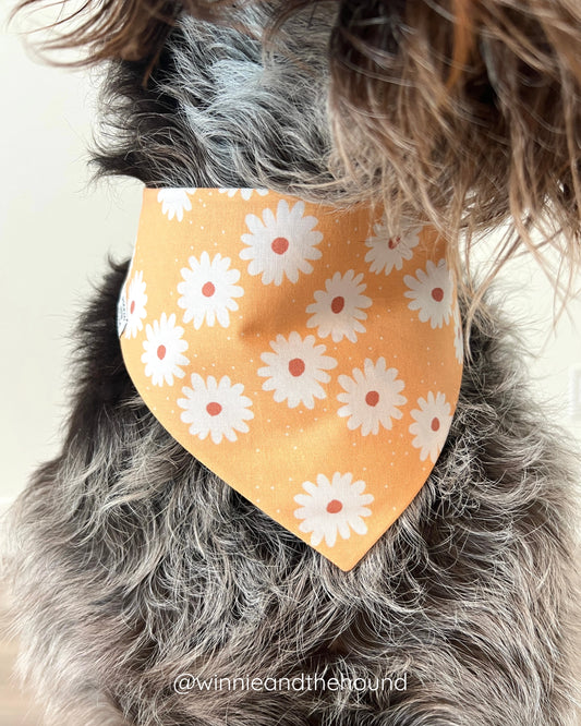 Fall Daisies Dog Bandana