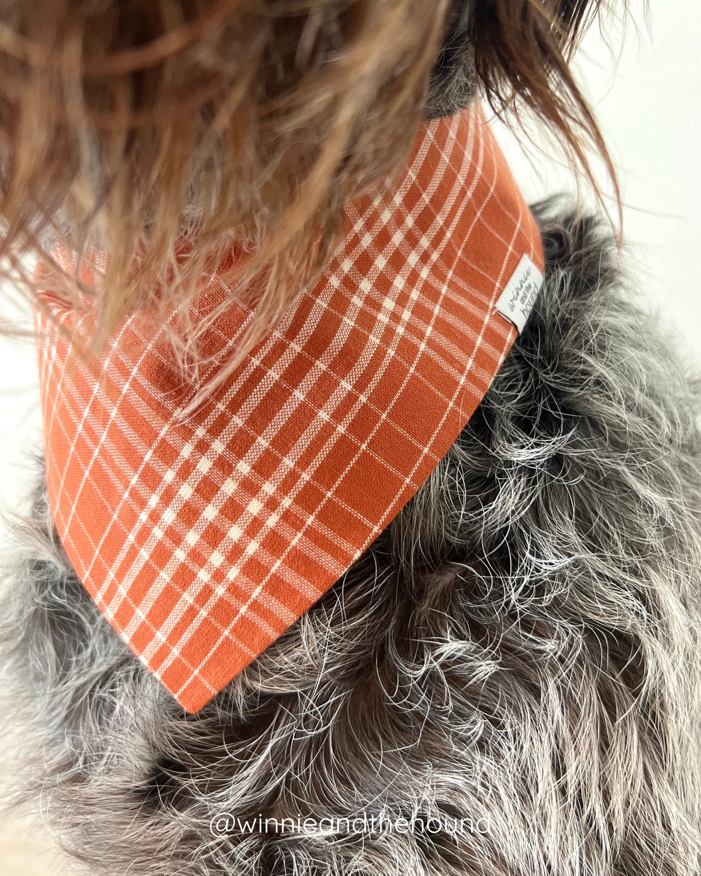 Fall Daisies Dog Bandana