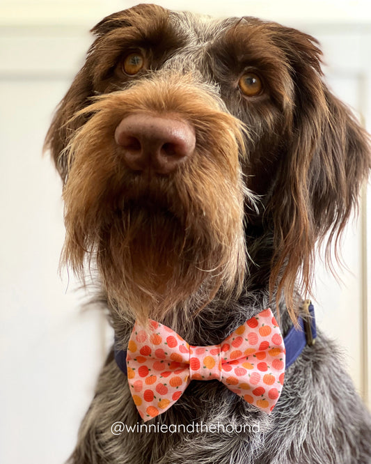 Fall Pumpkins Dog Bow Tie