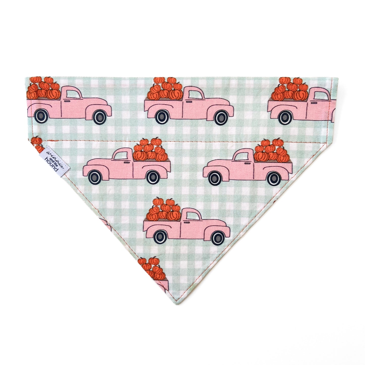 Cutest Pumpkin Dog Bandana