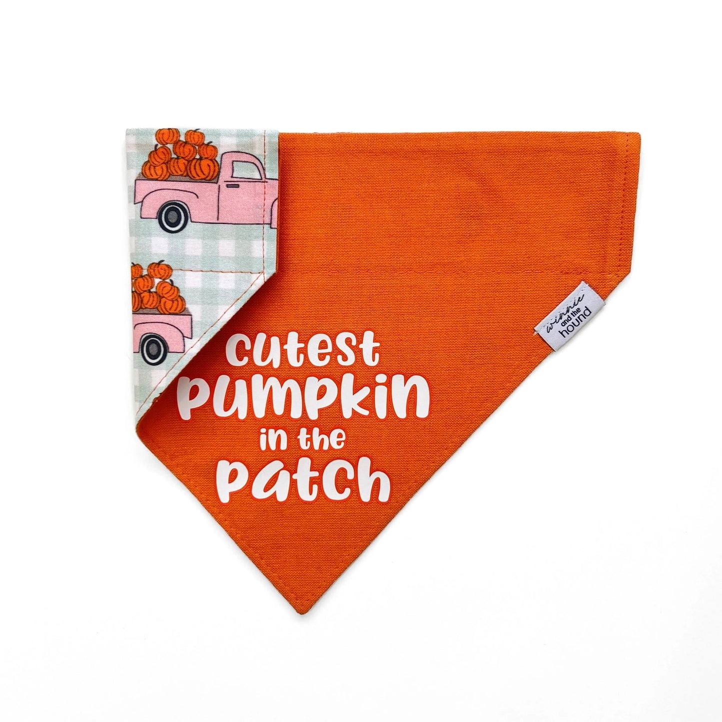 Cutest Pumpkin Dog Bandana