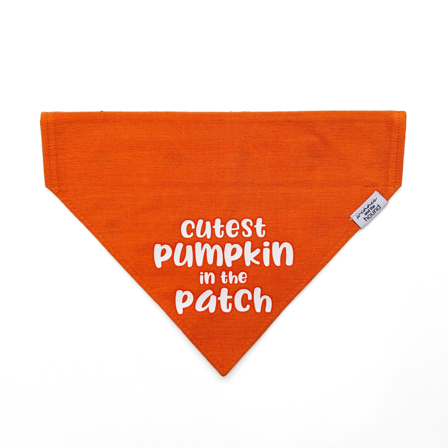 Cutest Pumpkin Dog Bandana