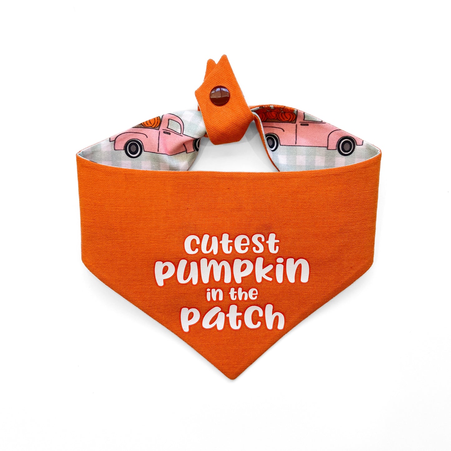 Cutest Pumpkin Dog Bandana