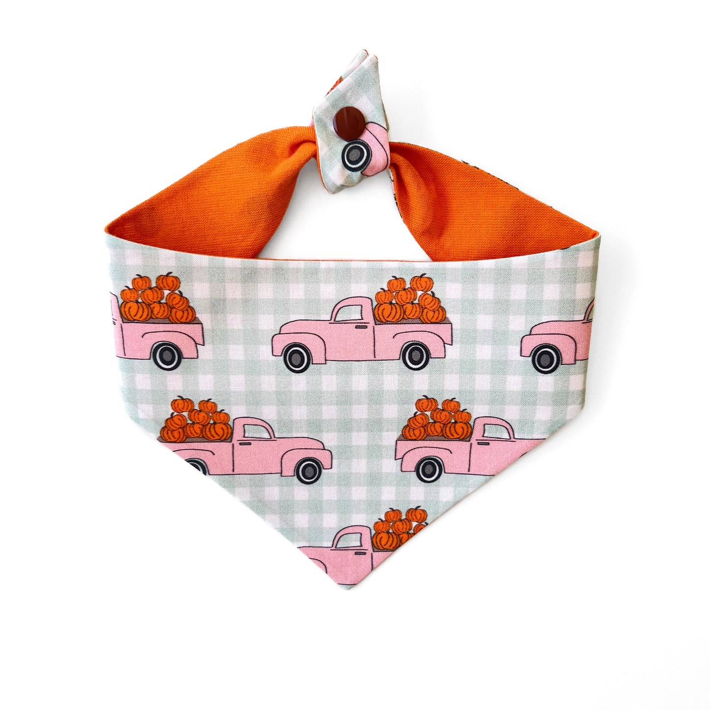 Cutest Pumpkin Dog Bandana