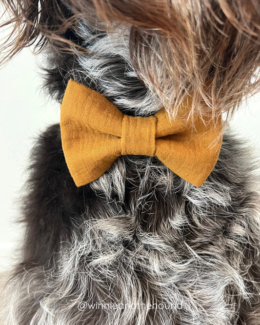 Gauze Dog Bow Tie - Cafe Spice
