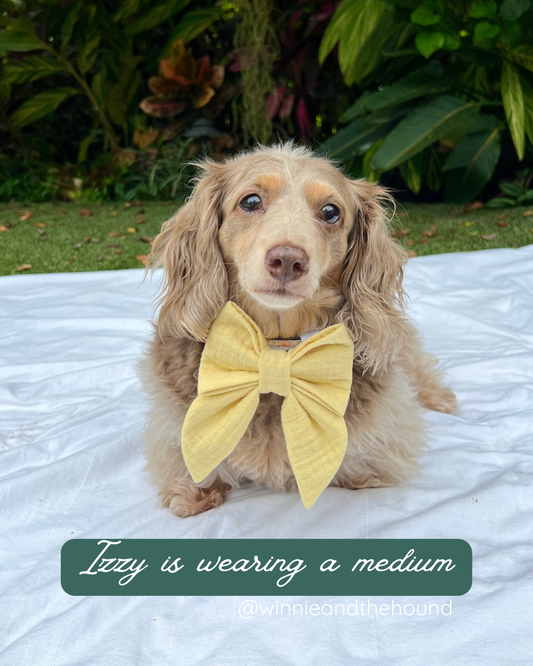 Gauze Lady Bow - Lemon