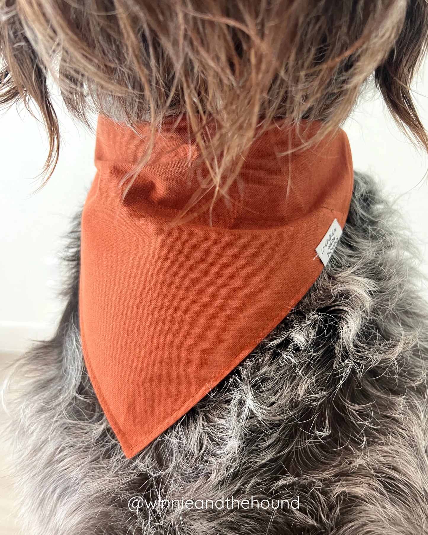 *PRE-ORDER* Halloween Fair Isle Dog Bandana