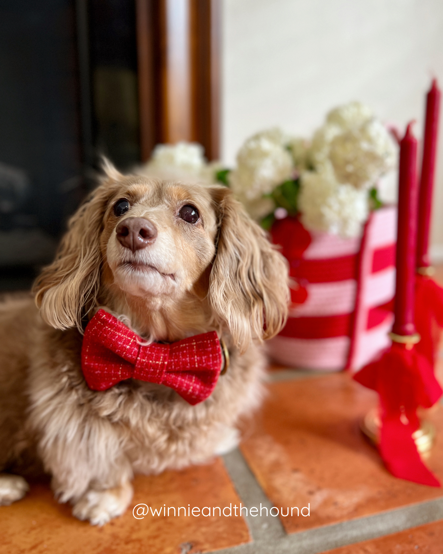 Heartthrob Flannel Dog Bow Tie