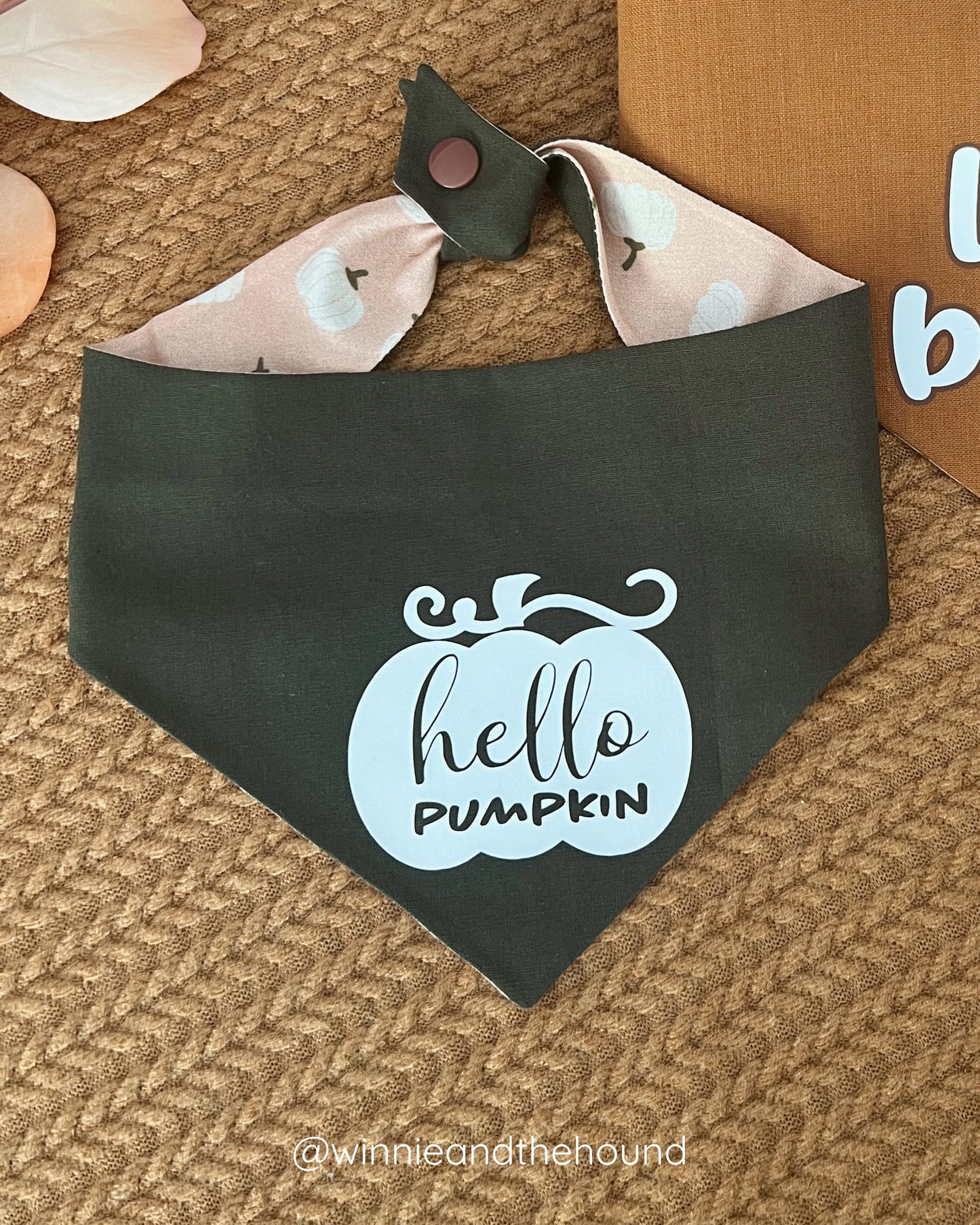 Hello Pumpkin Dog Bandana
