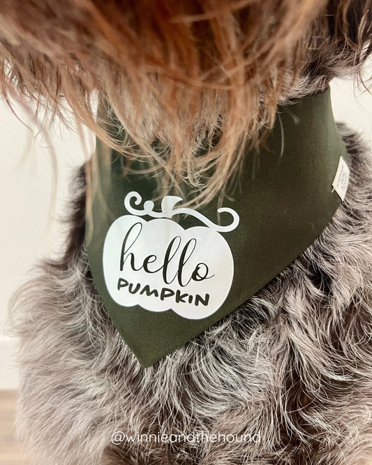 Hello Pumpkin Dog Bandana