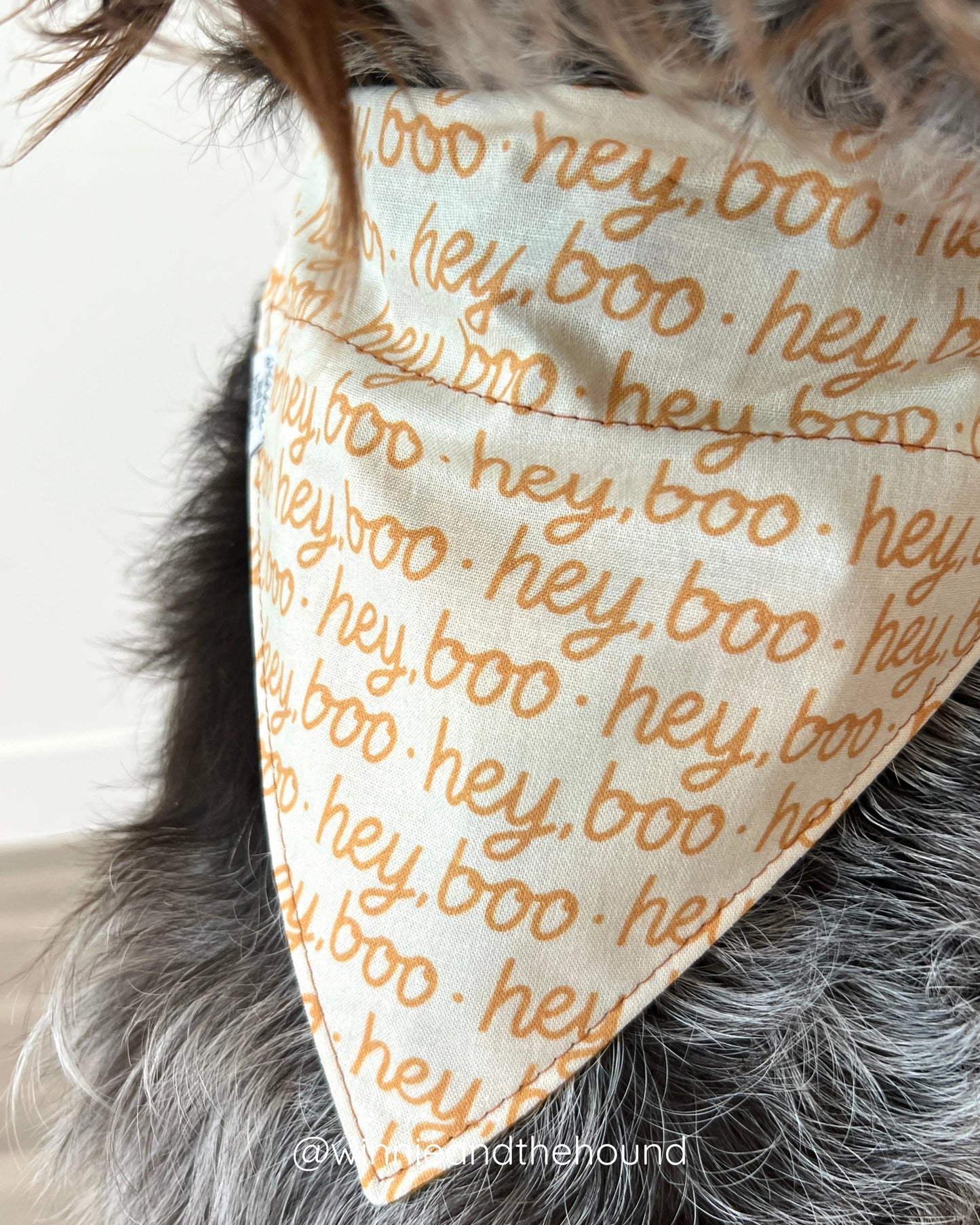 *PRE-ORDER* Hey, Boo Dog Bandana