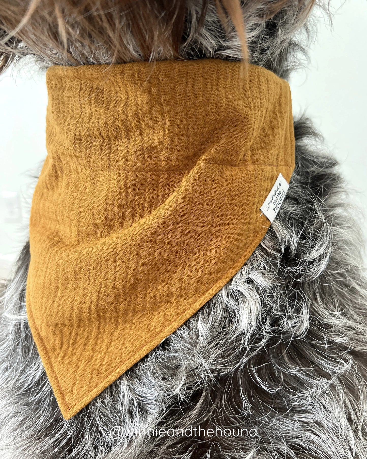 *PRE-ORDER* Hey, Boo Dog Bandana