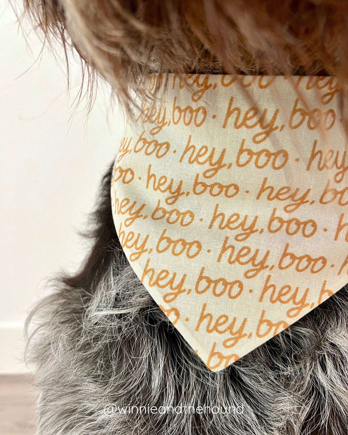 *PRE-ORDER* Hey, Boo Dog Bandana