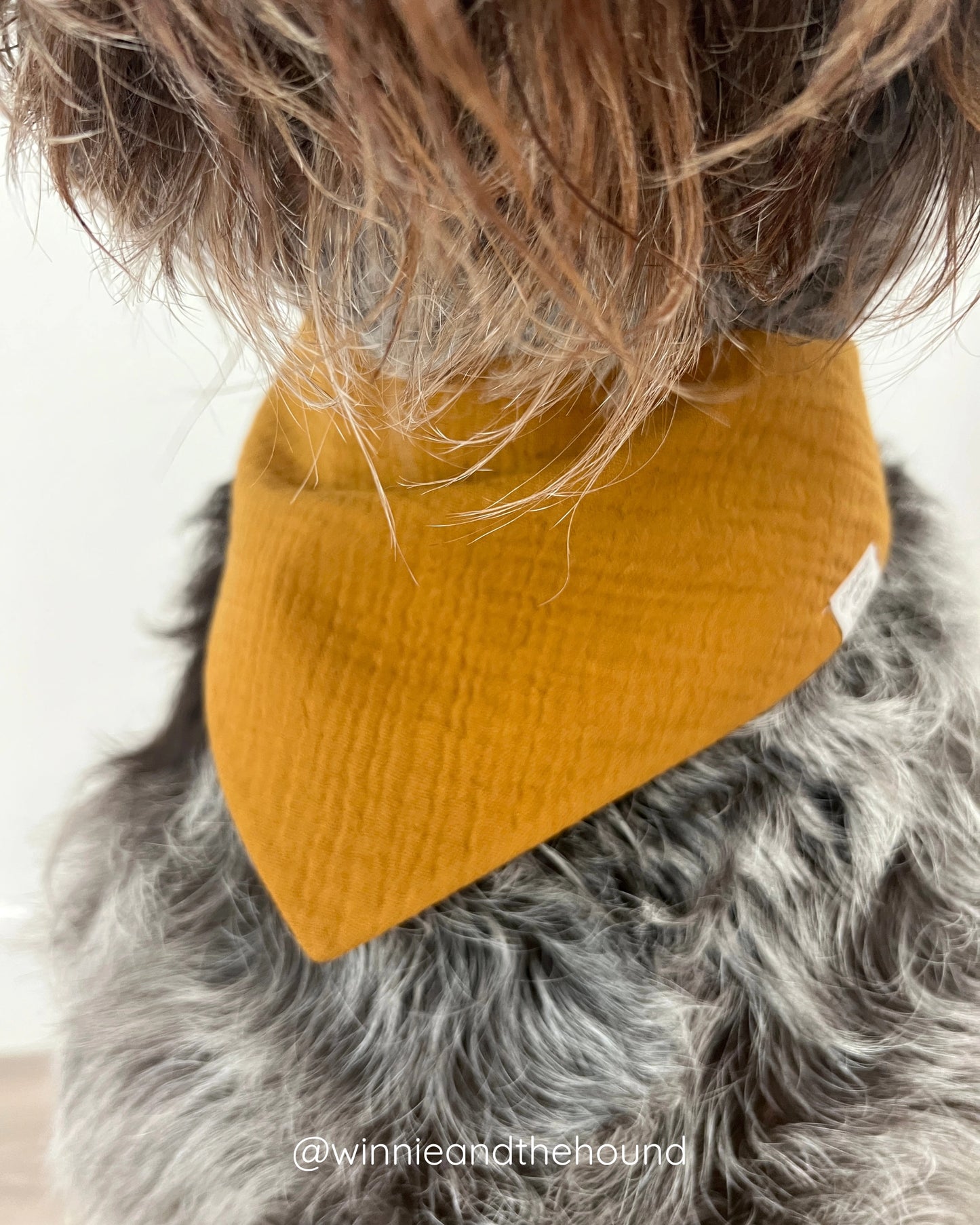 *PRE-ORDER* Hey, Boo Dog Bandana