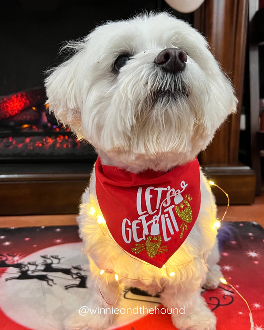 Let's Get Lit Dog Bandana