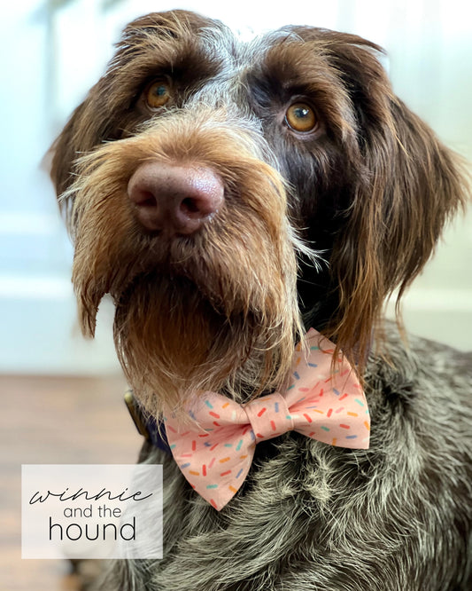Light Pink Birthday Sprinkles Dog Bow Tie