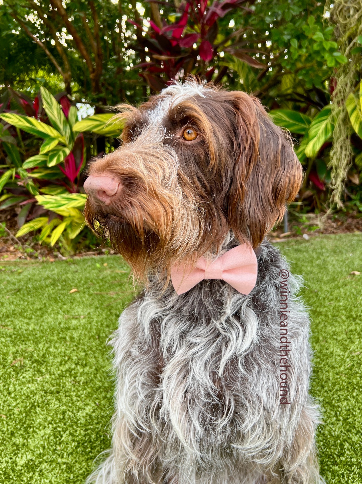 Light Pink Linen Dog Bow Tie