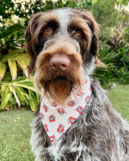 Mom Love Dog Bandana