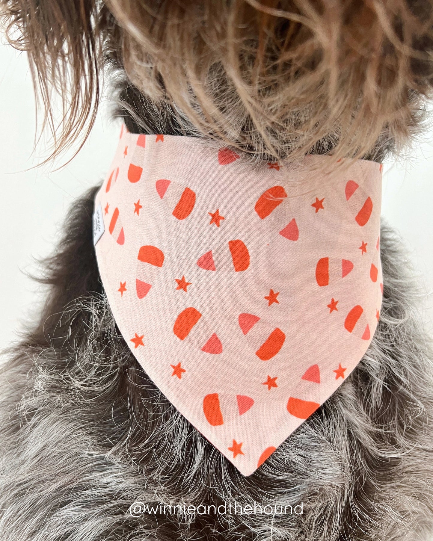 Official Candy Inspector Dog Bandana