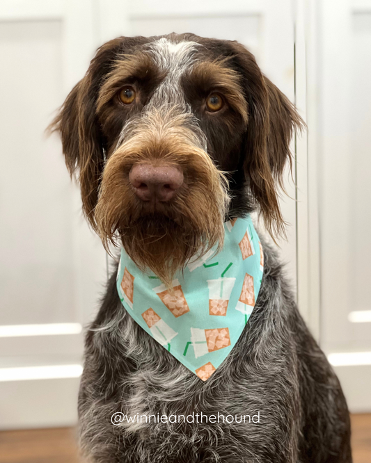 Iced Coffee Dog Bandana
