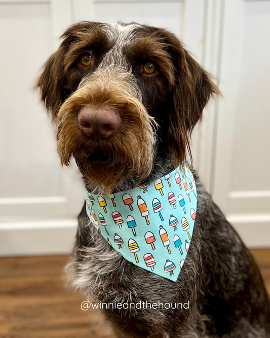 Nautical Buoys Dog Bandana - Blue
