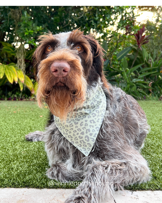 Green Leopard Tie On Dog Bandana