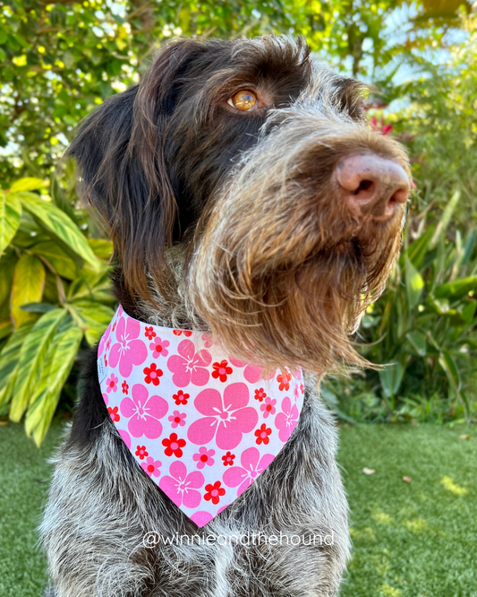 Pink Hibiscus Dog Bandana