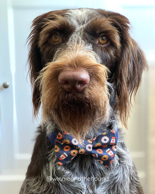 Pumpkin Spice Dog Bow Tie
