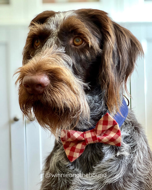 Red and Tan Check Dog Bow Tie