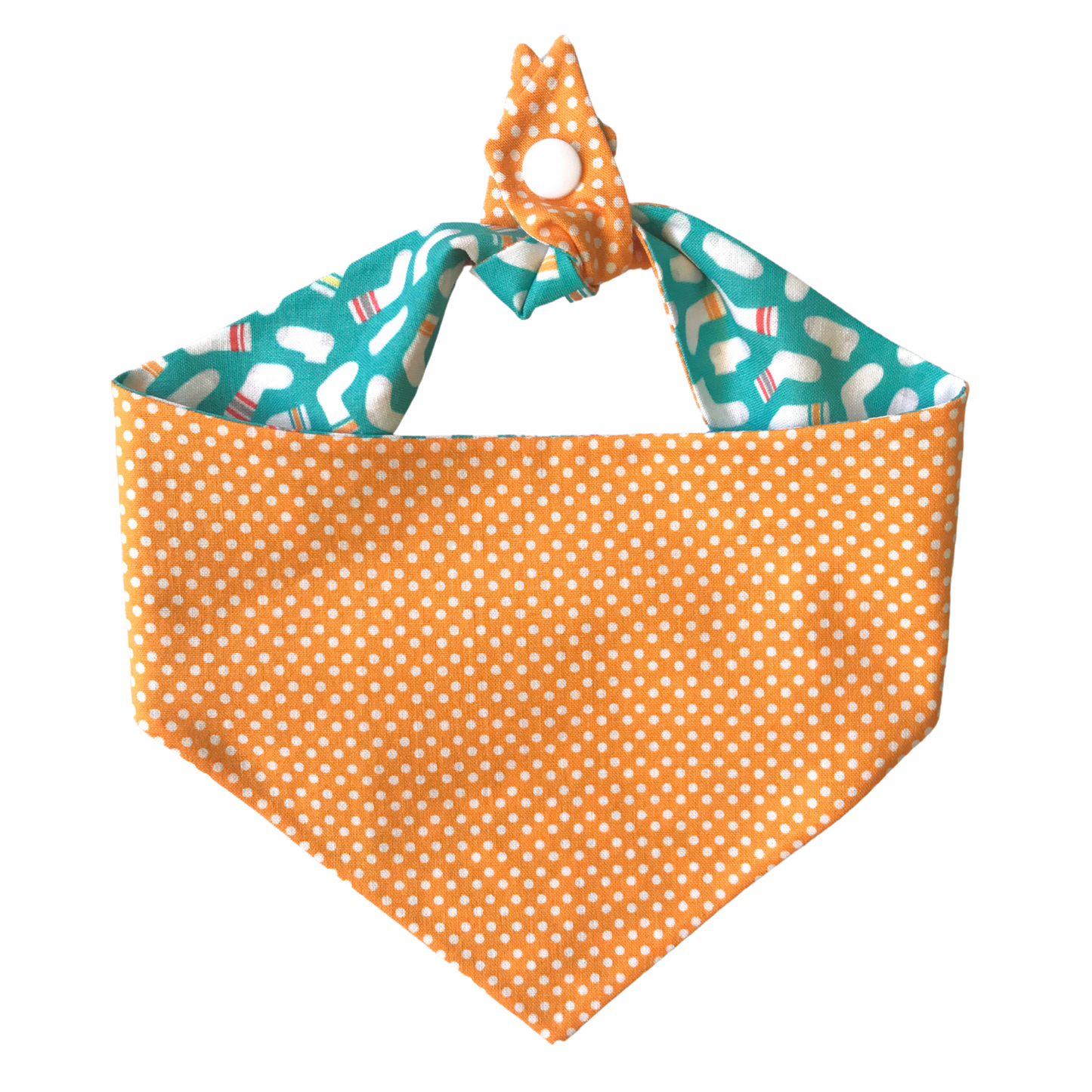 Sock Thief Dog Bandana