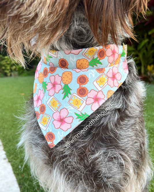 Summer Vibes Dog Bandana