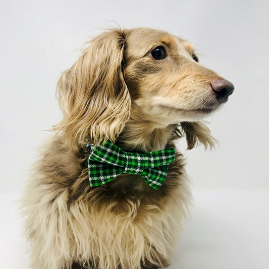 Green Plaid Dog Bow Tie