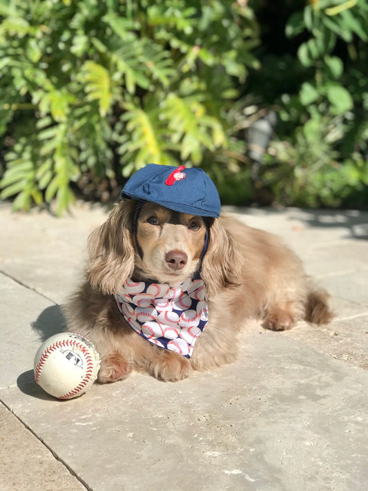 Baseball Dog Bandana