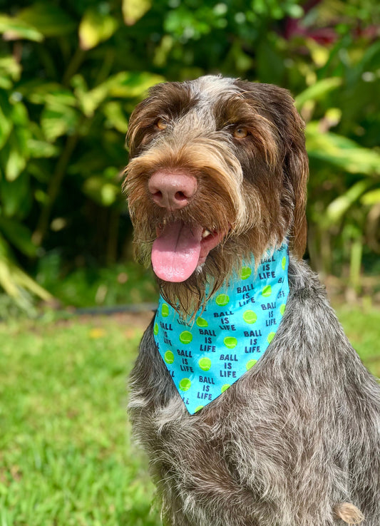 Ball is Life Dog Bandana