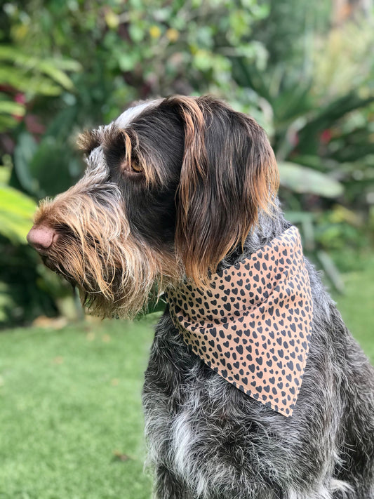 Heart of a Leopard Dog Bandana